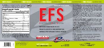 1st Endurance EFS Electrolyte Fuel System Tart Lemon-Lime - 