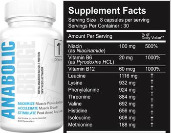 1st Phorm Anabolic Bridge - supplement