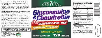 21st Century Glucosamine & Chondroitin plus Hyaluronic Acid + MSM - supplement