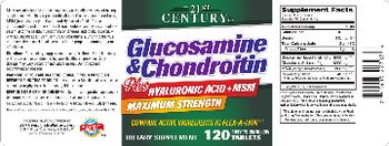 21st Century Glucosamine & Chondroitin Plus HYALURONIC ACID+MSM - supplement