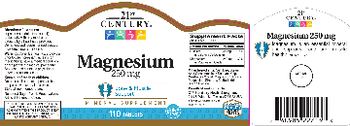 21st Century Magnesium 250 mg - mineral supplement