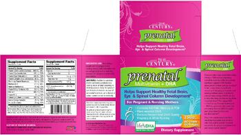 21st Century Prenatal Multivitamin + DHA Multivitamin - supplement