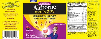 Airborne Airborne Everyday Berry Blast - immune support supplement