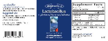 Allergy Research Group Lactobacillus - supplement