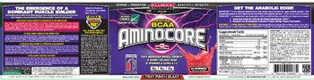 AllMax Nutrition Aminocore Fruit Punch Blast - supplement