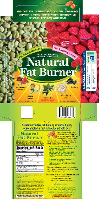 Applied Nutrition Natural Fat Burner - supplement