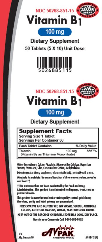 AvPak Vitamin B1 100 mg - supplement