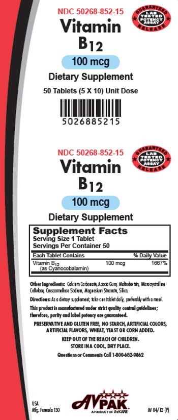 AvPak Vitamin B12 100 mcg - supplement