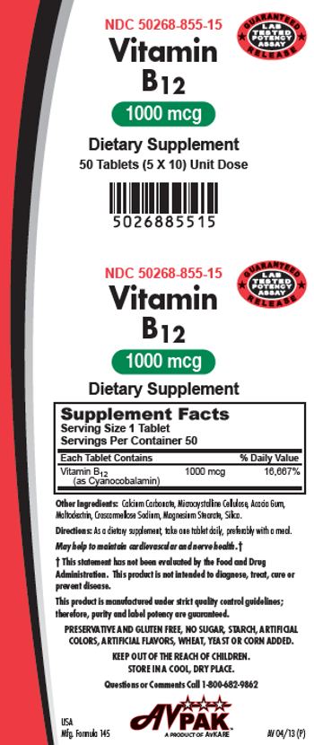 AvPak Vitamin B12 1000 mcg - supplement