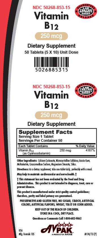 AvPak Vitamin B12 250 mcg - supplement