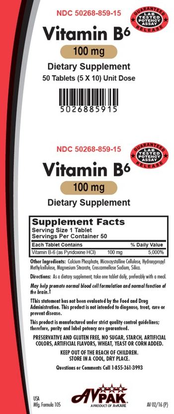 AvPak Vitamin B6 100 mg - supplement