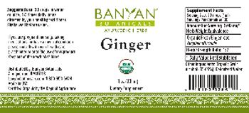 Banyan Botanicals Ginger - supplement