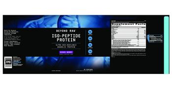 Beyond Raw Iso-Peptide Protein Mixed Berry - supplement