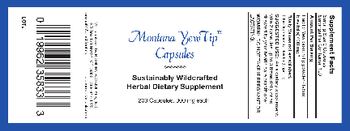 Bighorn Botanicals Montana YewTip Capsules - herbal supplement