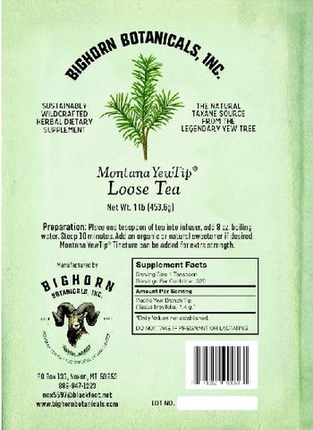 Bighorn Botanicals Montana YewTip Loose Tea - sustainably wildcrafted herbal supplement