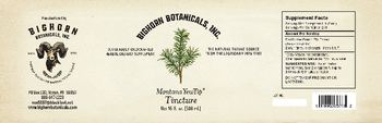 Bighorn Botanicals Montana YewTip Tincture - sustainably wildcrafted herbal supplement