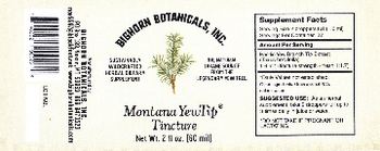 Bighorn Botanicals Montana YewTip Tincture - sustainably wildcrafted herbal supplement