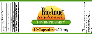BioAnue CDP-Choline Mender - 