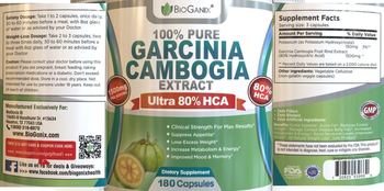 BioGanix 100% Pure Garcinia Cambogia Extract 1500 mg - supplement