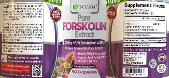 BioGanix Pure Forskolin Extract 250 mg - supplement