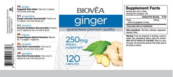 BIOVEA Ginger 250 mg - supplement