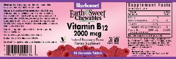 Bluebonnet EarthSweet Chewables Vitamin B12 2000 mcg Natural Raspberry Flavor - supplement