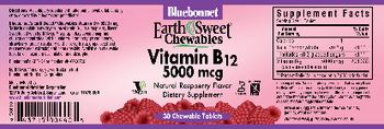 Bluebonnet EarthSweet Chewables Vitamin B12 5000 mcg Natural Raspberry Flavor - supplement