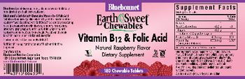 Bluebonnet EarthSweet Chewables Vitamin B12 & Folic Acid Natural Raspberry Flavor - supplement
