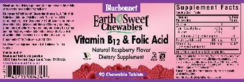 Bluebonnet EarthSweet Chewables Vitamin B12 & Folic Acid Natural Raspberry Flavor - supplement