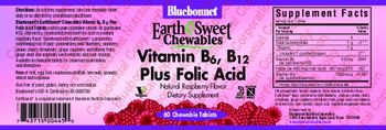 Bluebonnet EarthSweet Chewables Vitamin B6, B12 plus Folic Acid Natural Raspberry Flavor - supplement