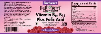 Bluebonnet EarthSweet Chewables Vitamin B6, B12 Plus Folic Acid Natural Raspberry Flavor - supplement