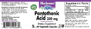 Bluebonnet Pantothenic Acid 250 mg - supplement