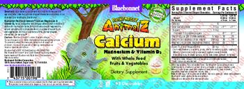 Bluebonnet Rainforest Animalz Calcium Magnesium & Vitamin D3 Vanilla Frosting Flavor - supplement