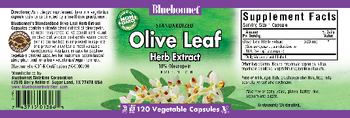 Bluebonnet Standardized Olive Leaf Herb Extract - herbal supplement