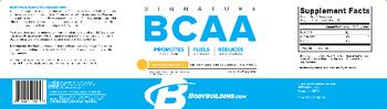 Bodybuilding.com Signature BCAA Tropical Pineapple - supplement