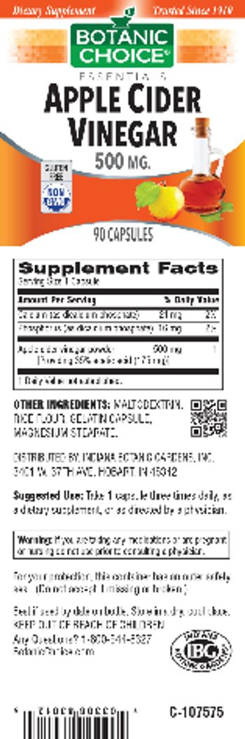 Botanic Choice Apple Cider Vinegar 500 mg - supplement