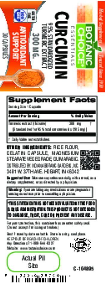 Botanic Choice Curcumin 300 mg - herbal supplement