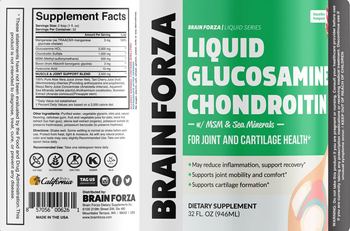 Brain Forza Liquid Glucosamine Chondroitin Natural Berry Pomegranate - supplement