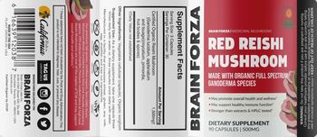 Brain Forza Red Reishi Mushroom 500 mg - supplement