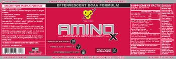 BSN Amino X Fruit Punch - supplement