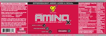 BSN Amino X Fruit Punch - supplement