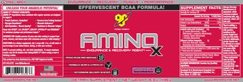 BSN Amino X Watermelon - supplement