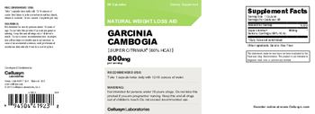 Cellusyn Laboratories Garcinia Cambogia - supplement