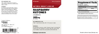 Cellusyn Laboratories Raspberry Ketones 500 mg - supplement
