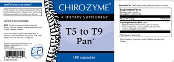 Chiro-Zyme T5 To T9 Pan - supplement