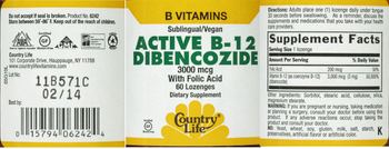Country Life Active B-12 Dibencozide 3000 mcg With Folic Acid - supplement