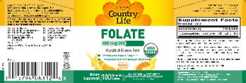 Country Life Folate 400 mcg DFE Orange Flavor - supplement