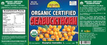 Dynamic Health Laboratories Inc. Organic Certified Seabuckthorn Juice Blend - supplement