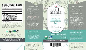 Earth Mama Organics Organic Heartburn Tea Soothing, Cooling Mellow Mint - herbal tesupplement