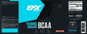 EFX Sports Training Ground BCAA Strawberry Peach - supplement